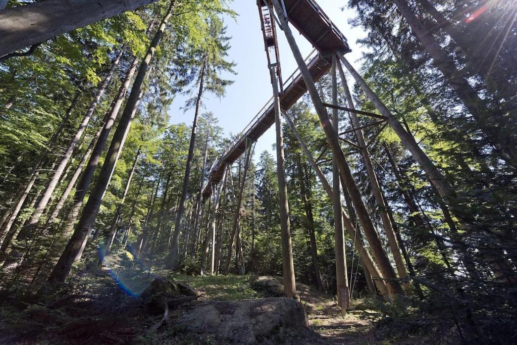 Cozy I Blockhuette Im Nationalpark I Ferienwohnung Neureichenau Buitenkant foto
